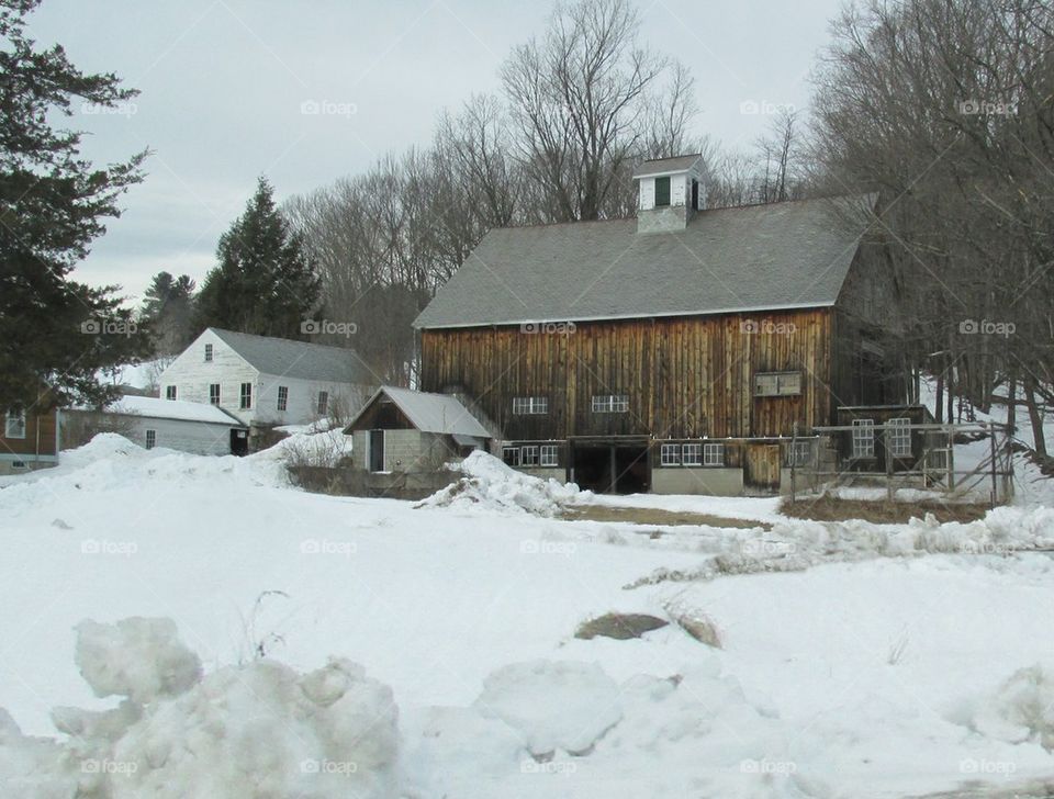 Barn in winter