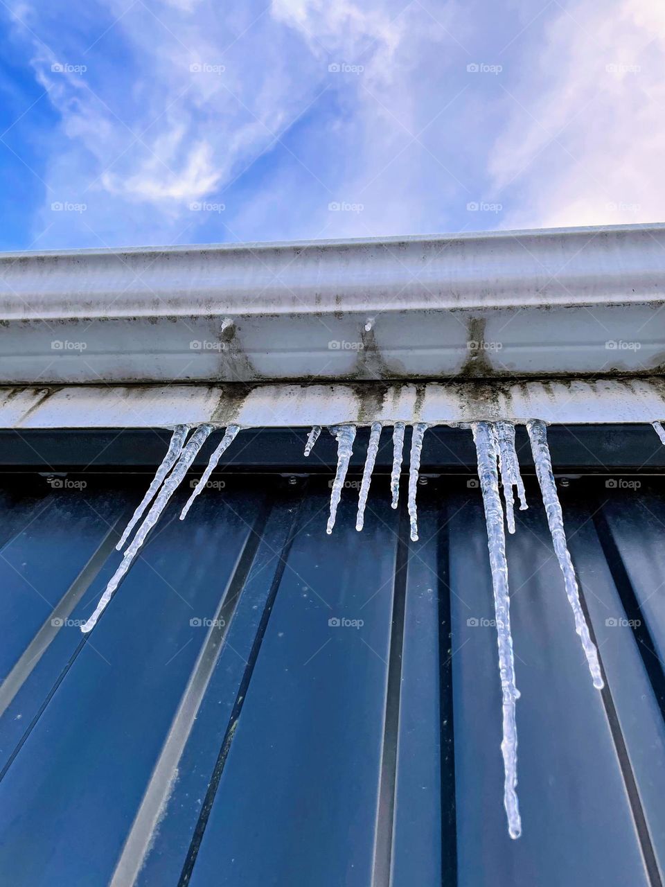 Winter nature decoraton, hanging icicles on the dark background with blue sky above