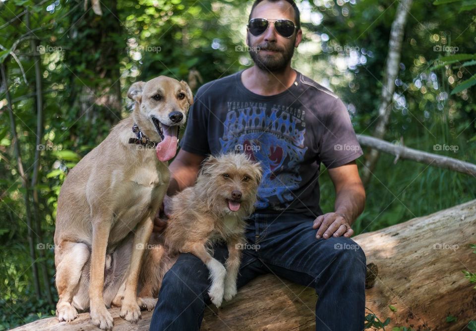 Two dogs and their owner take a break to sit on a fallen tree, during a woodland walk