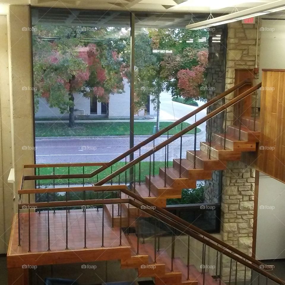 view from the library