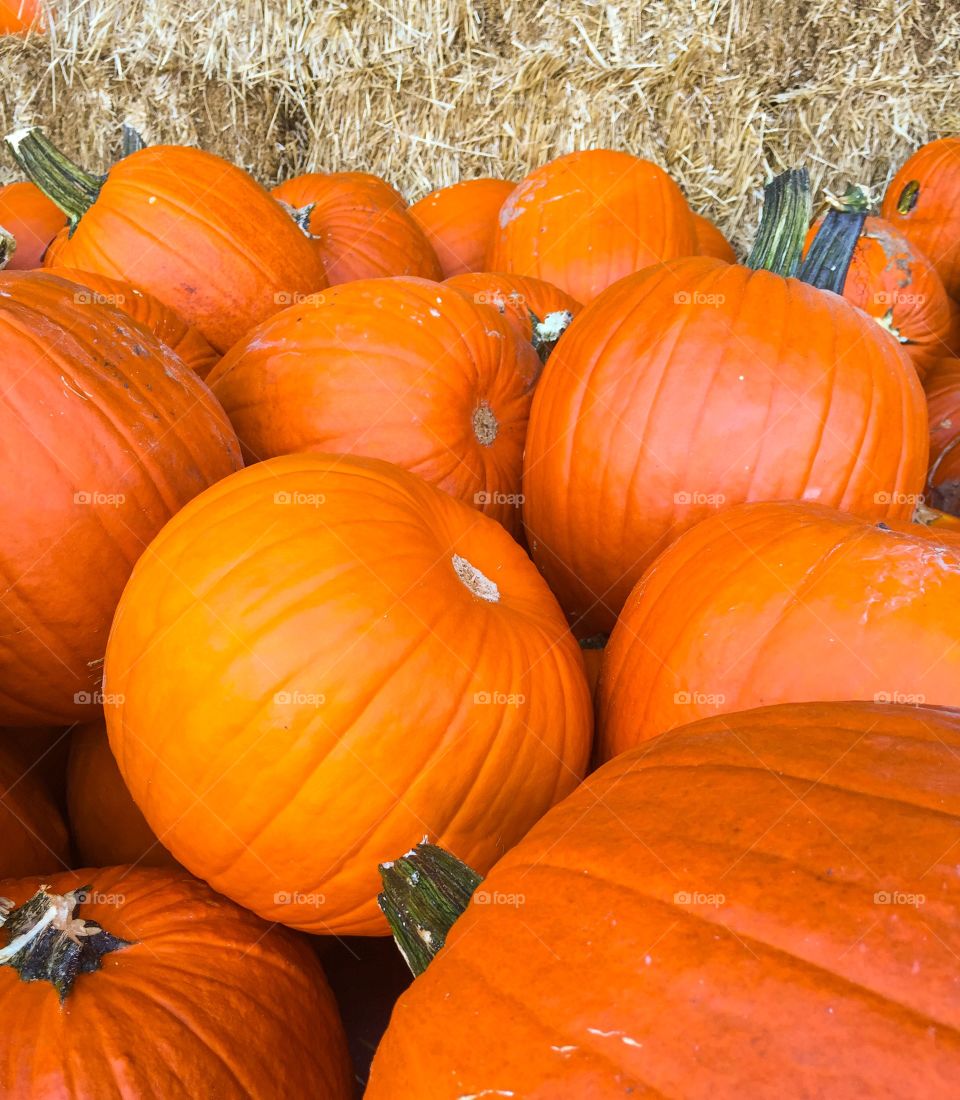 A pile of pumpkins for Halloween decorating