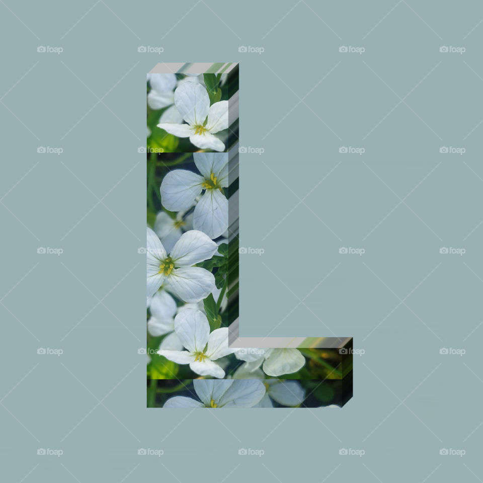 L alphabet 3d rendering of vertical white flowers alphabet