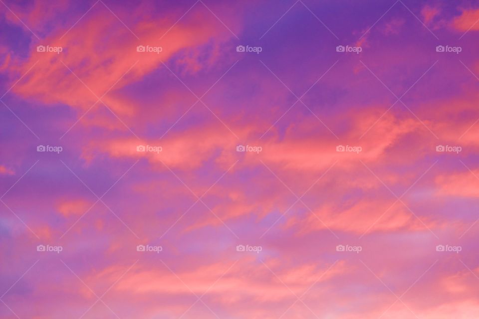 Vivid, purple and pink, wispy clouds in a light blue sky being illuminated by the sun at golden hour 