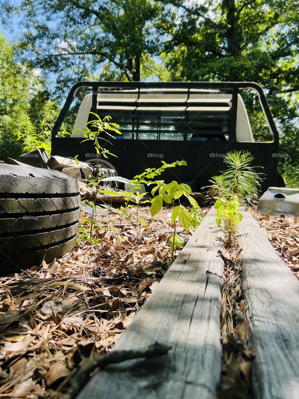 An old work truck is parked in a wooded area. The plants have begun growing in the bed beside a spare tire.