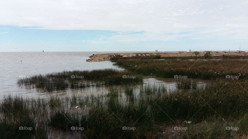 Evening on the river