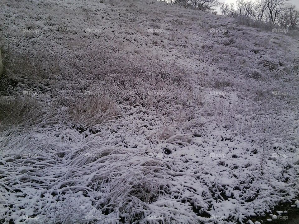 Snow Covered Hillside