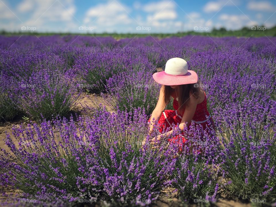 Woman wearing dress and summer hat in a lavender field harvesting lavender