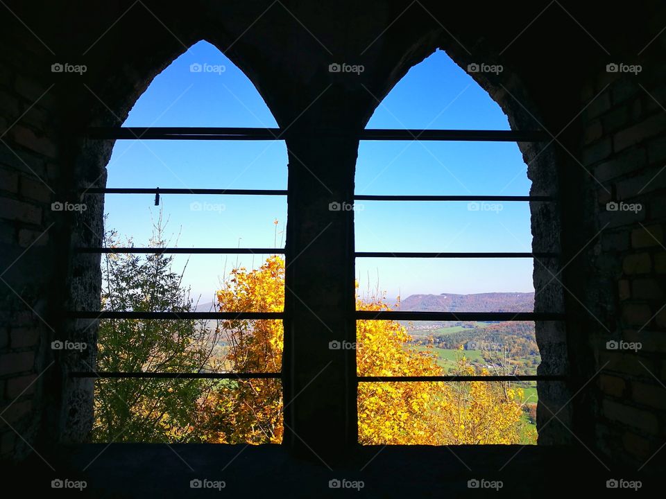windows