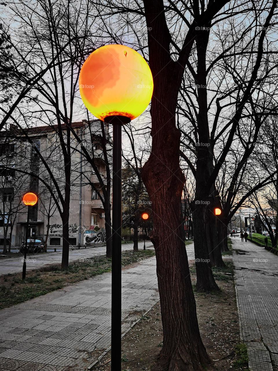 City lights in the night