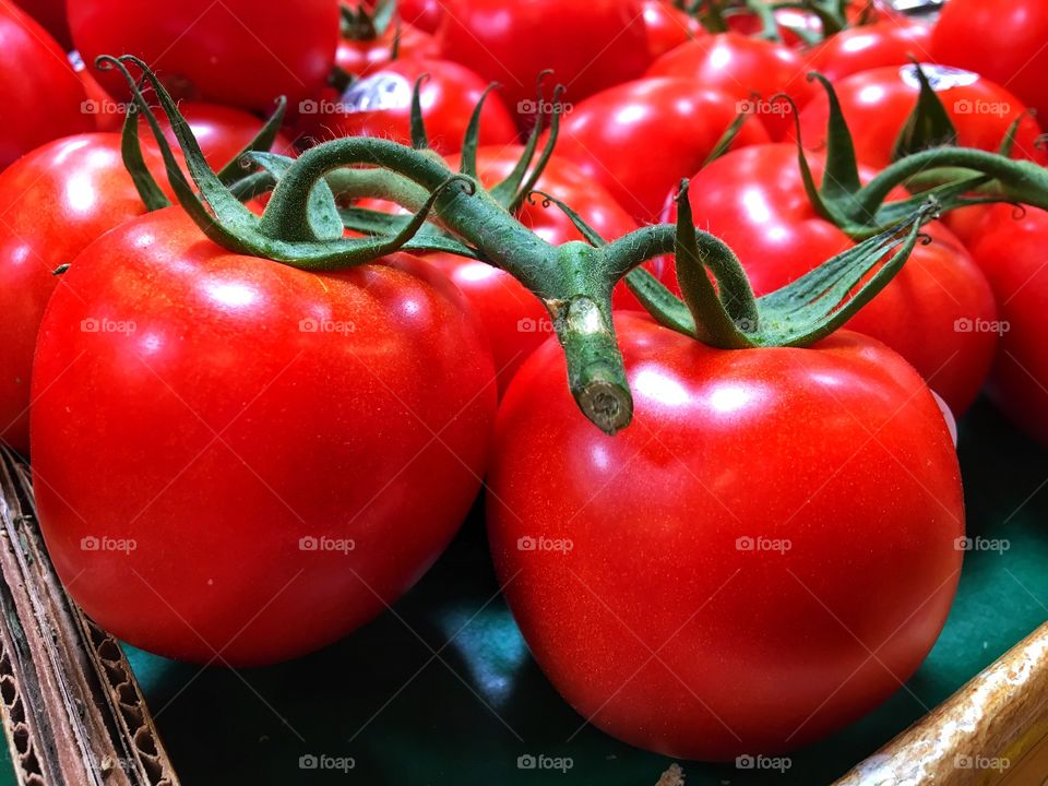 Red Vine Ripened Organic Tomatoes Displayed at Market