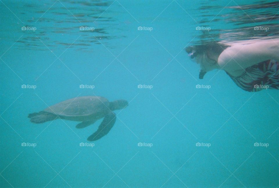 Oahu, Hawaii - Hanauma Bay