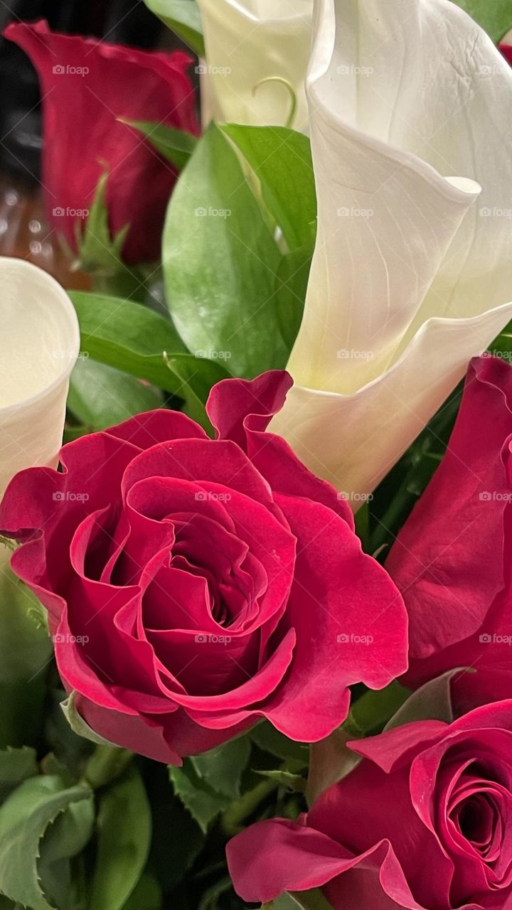 A bouquet of red roses and Cala lilies, for a Valentine’s Day sweetheart. 