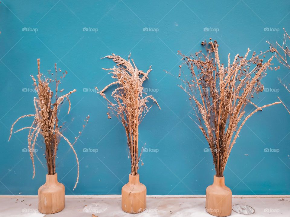 three ornamental plants are in a small vase