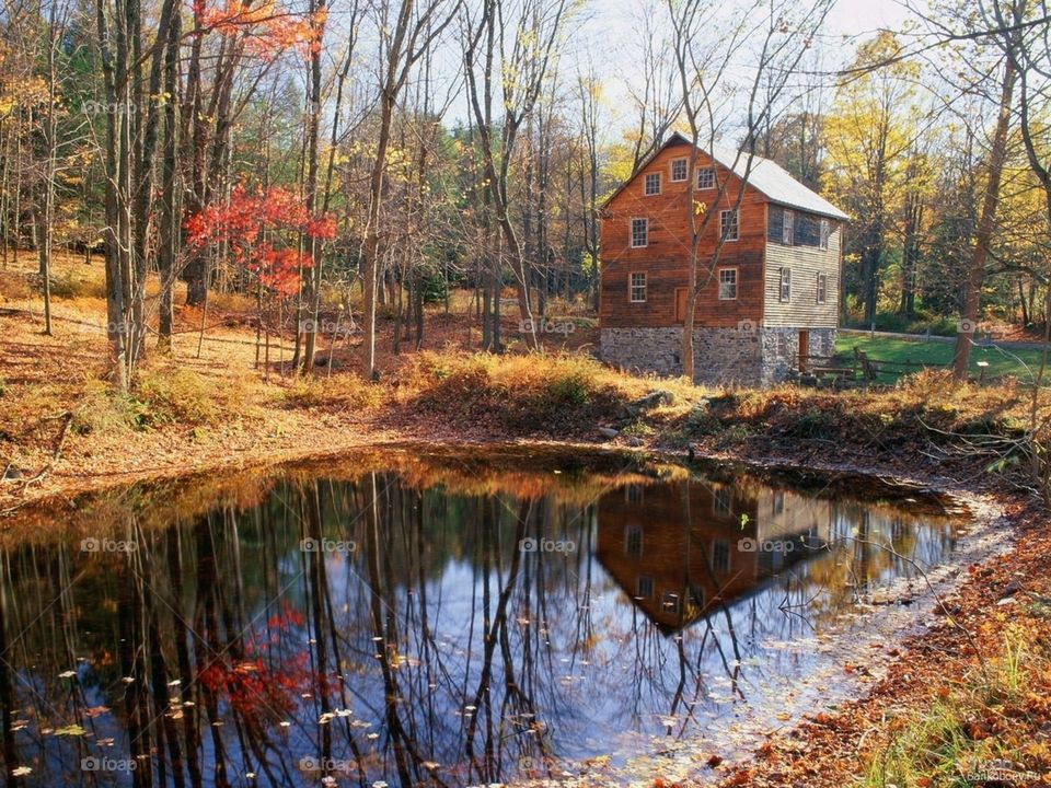 Дом у озера