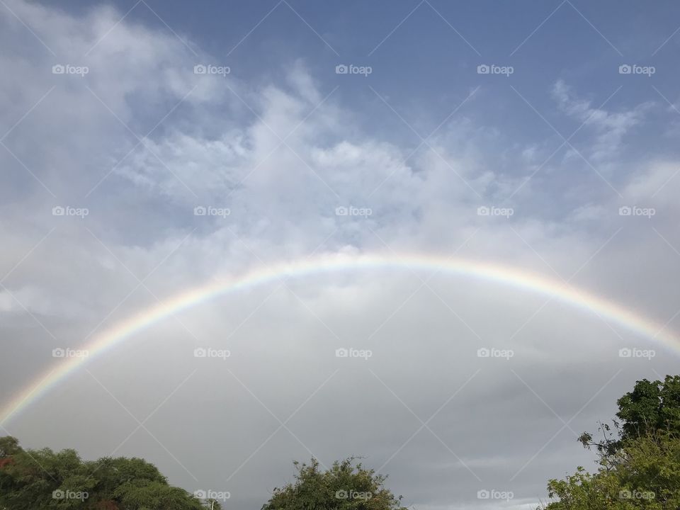 Hawaiian rainbow