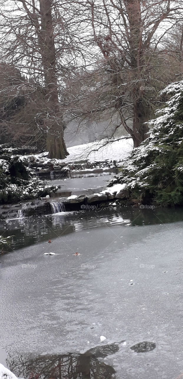 cours d'eau au parc Barbieux