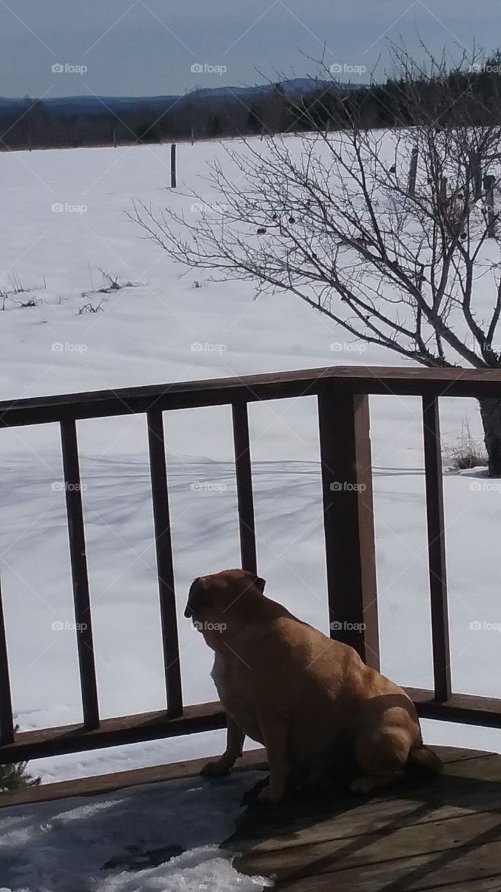 you can see for miles from this back Maine porch
