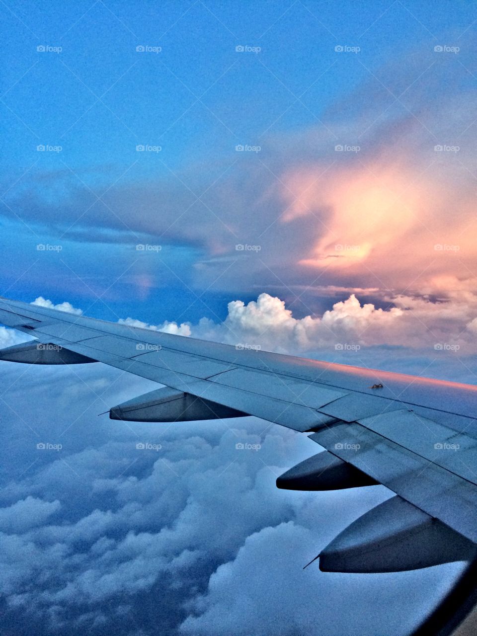 Live life to the fullest!