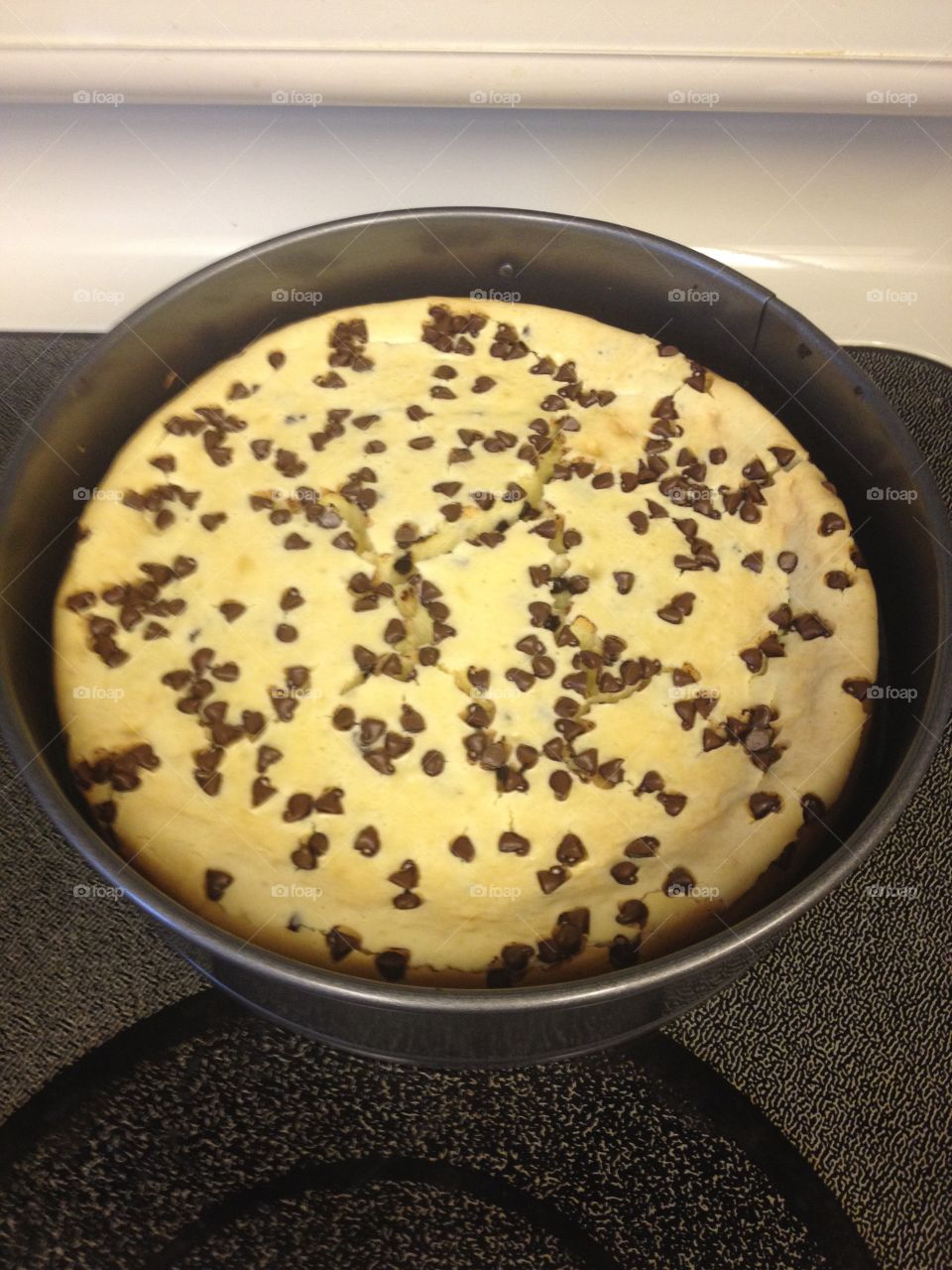 Delicious chocolate chip cheesecake