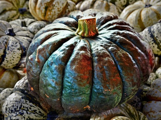 Pumpkins