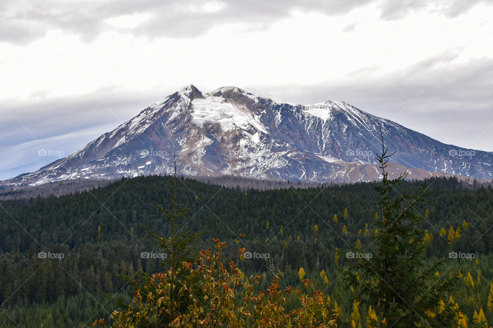 Gifford Pinchot National Forest