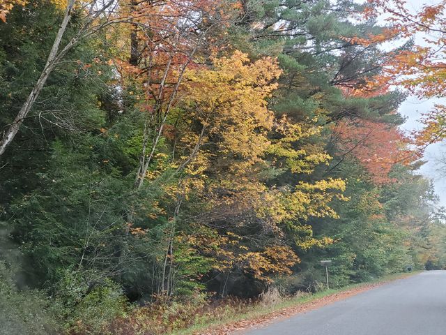 Autumn road