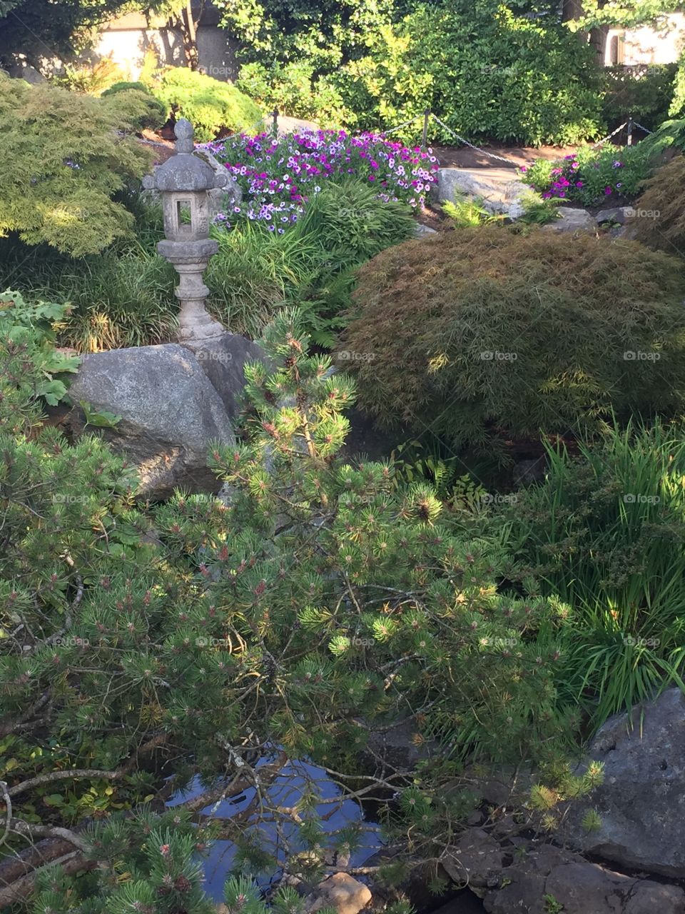 Miniature pagoda in the Main quarry garden at Queen Elizabeth Park in Vancouver, British Columbia 