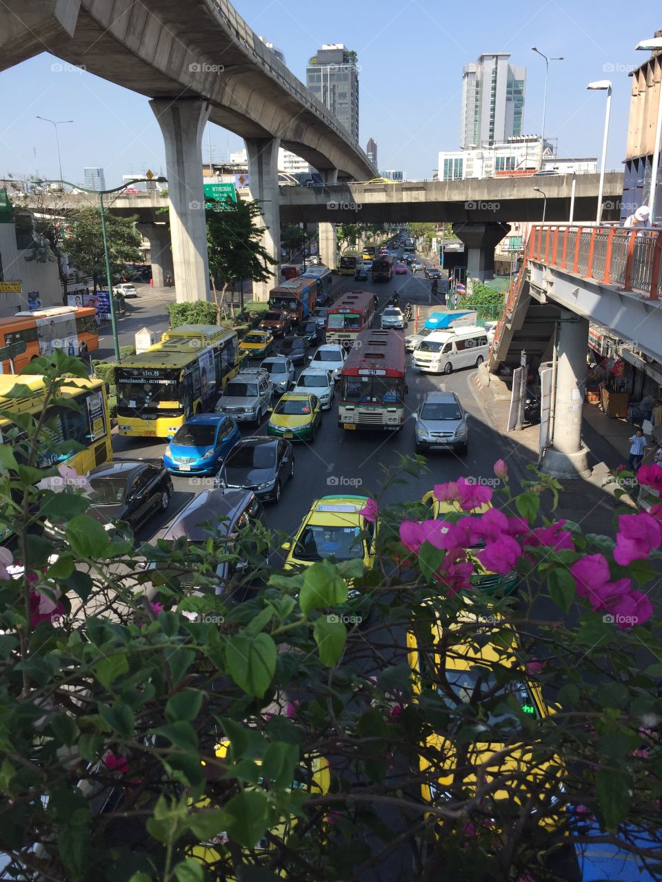 One of Bangkok’s busiest junctions; Victory Monument, with a little flora in the concrete jungle