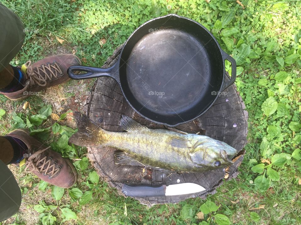 Fish fry