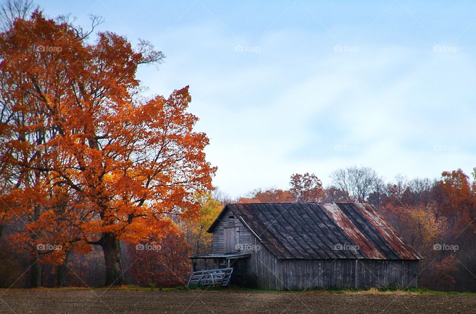 Autumn Ohio Barn
