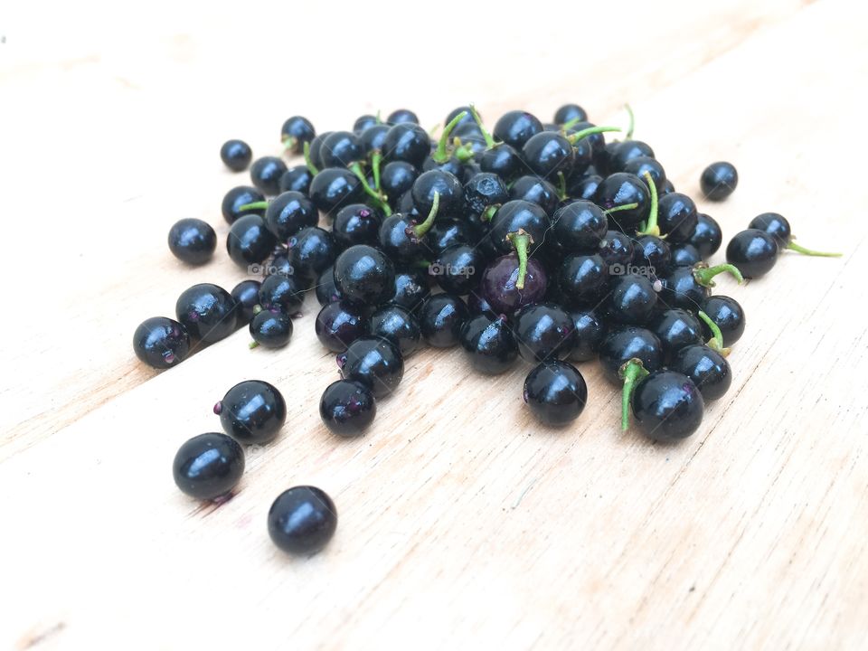 American black nightshade