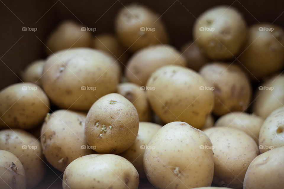 These spuds are studs
