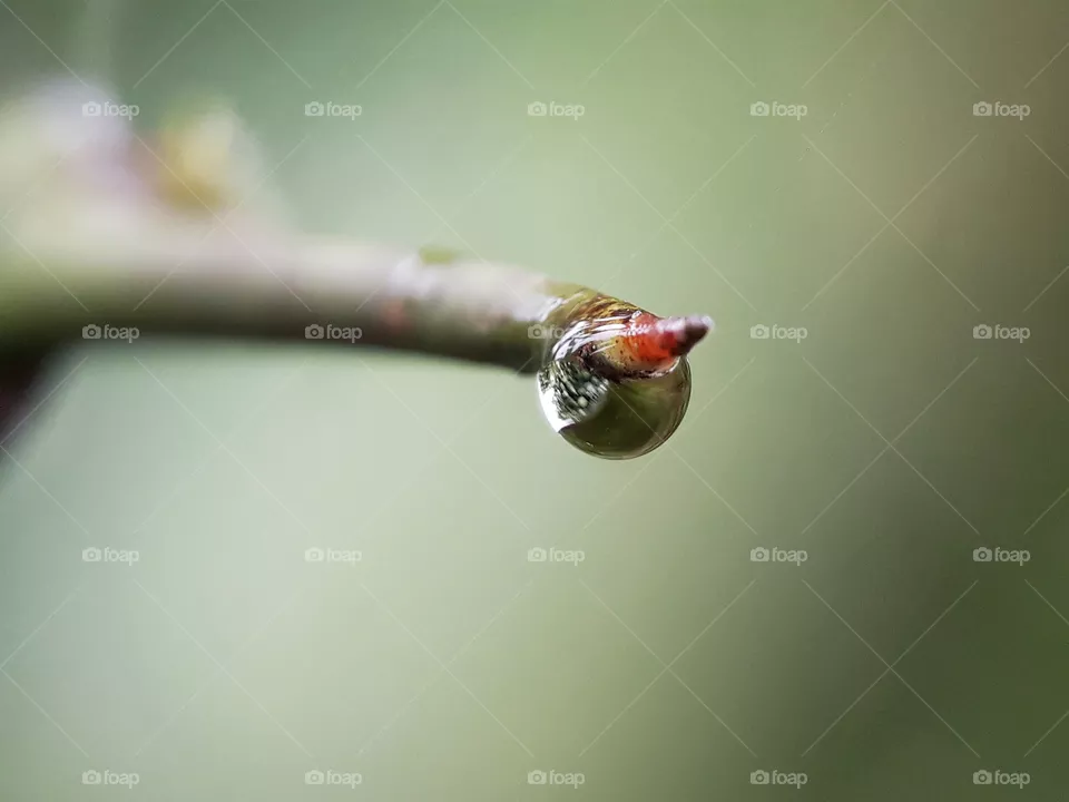 drop
