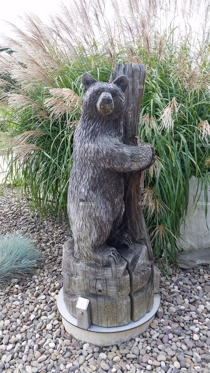 bear statue
