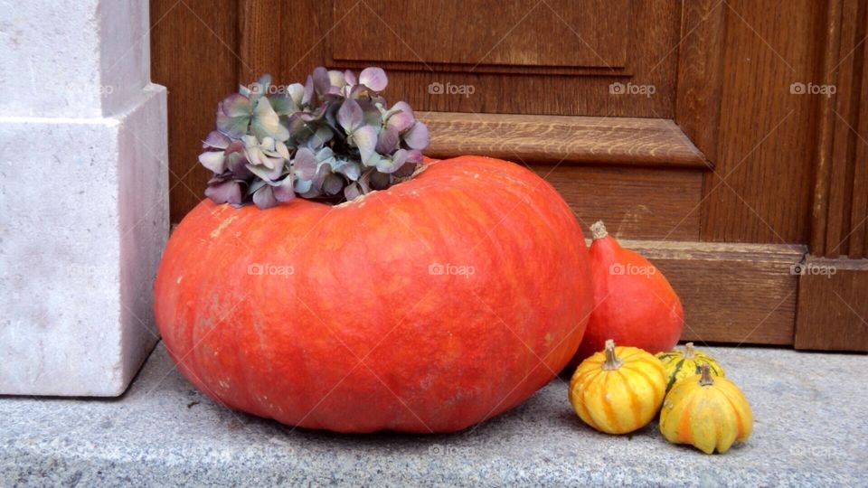 Pumpkin at the door, pumpkin season, Halloween 🎃