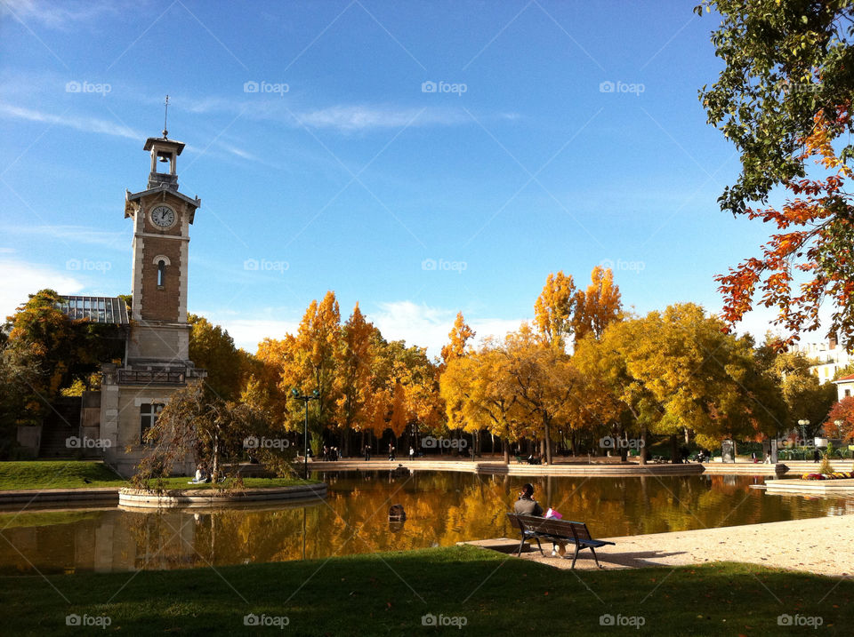 tree pond park autumn by chiroquia