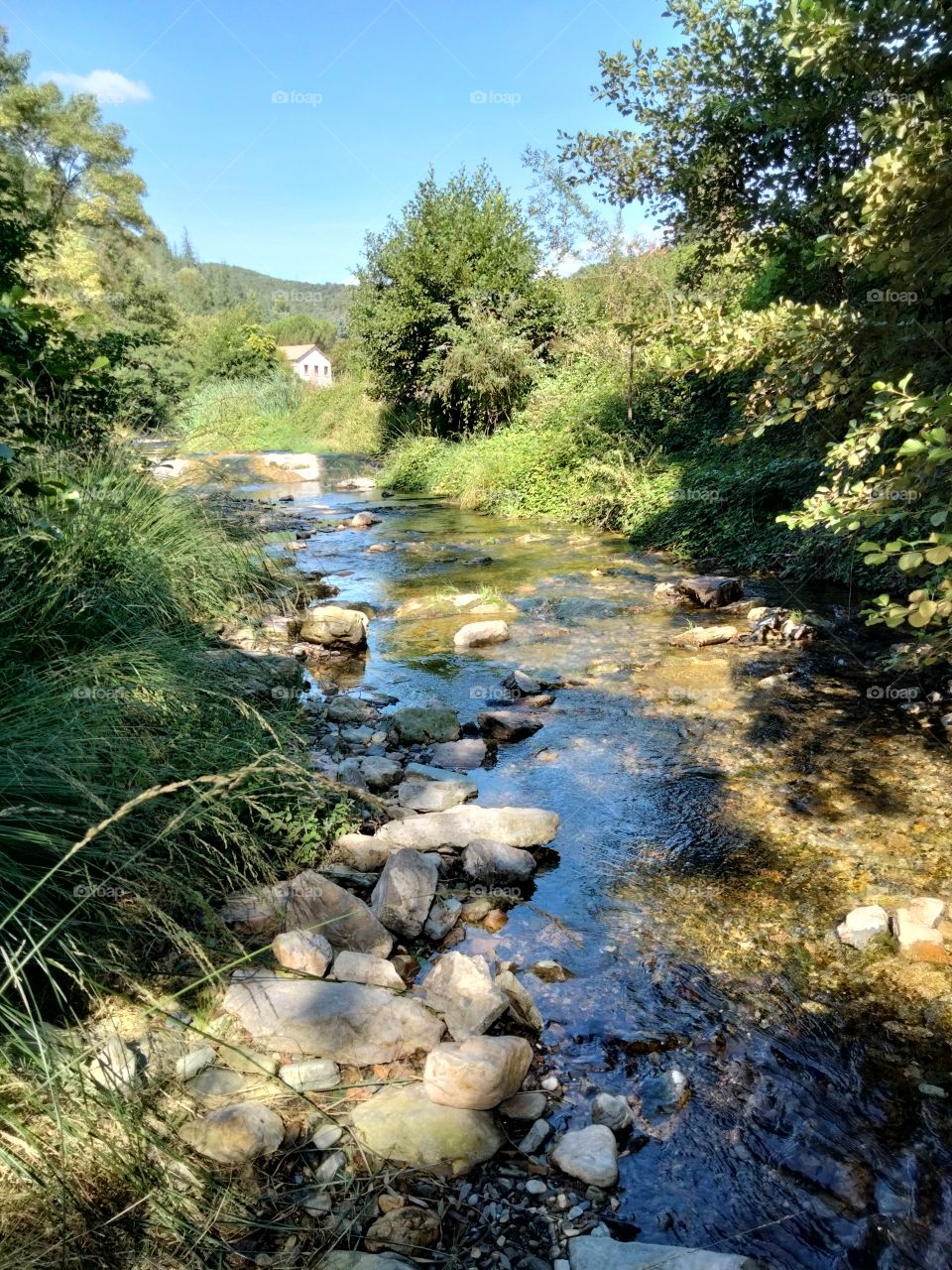 rivière