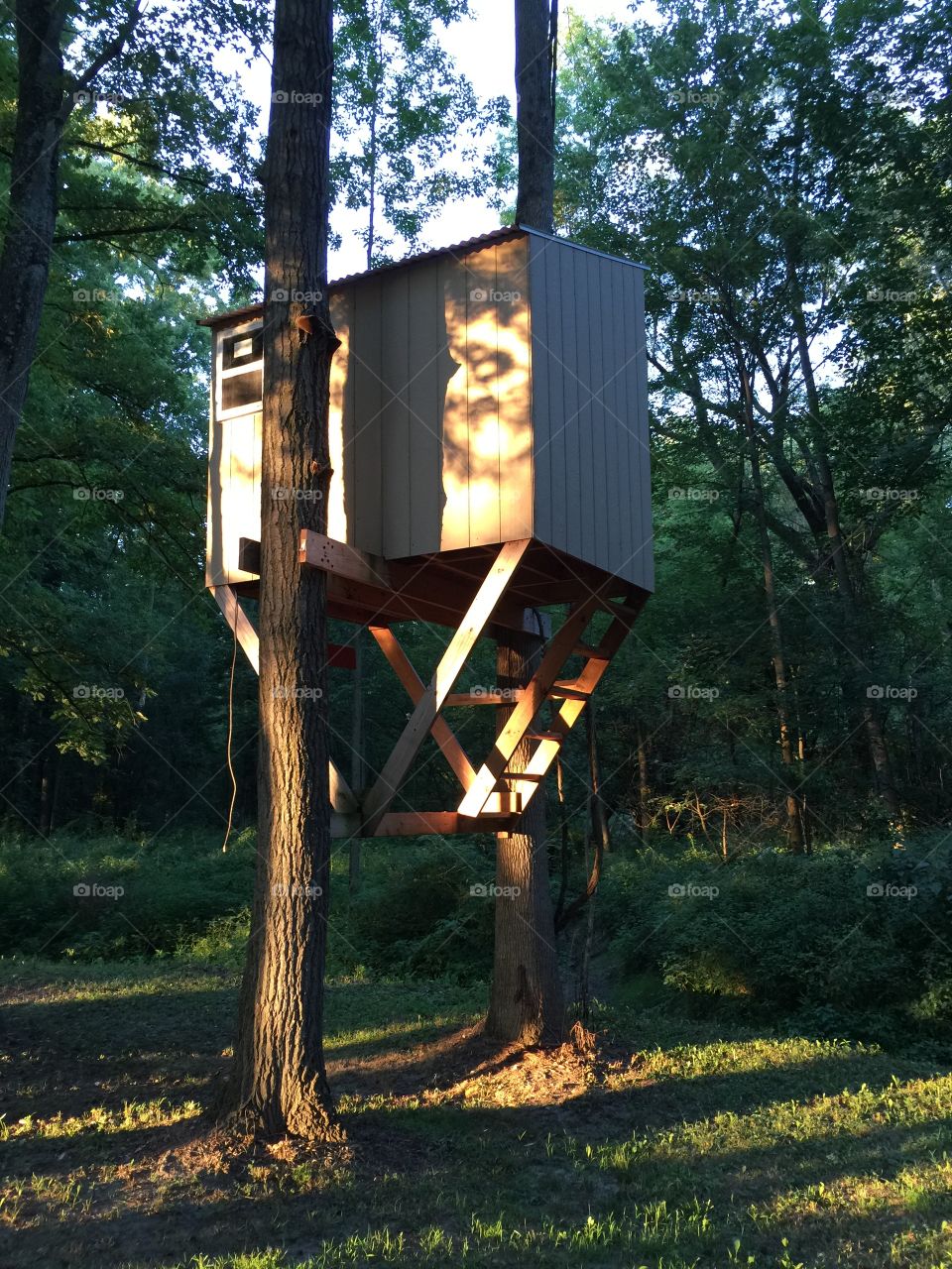 Tree house in the woods