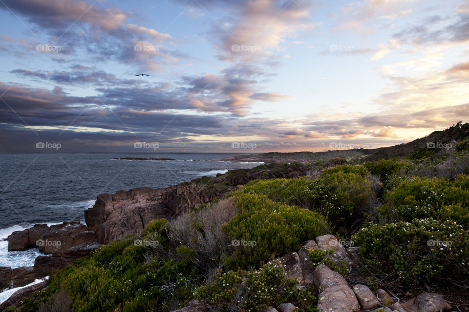 Port Stephens seaside