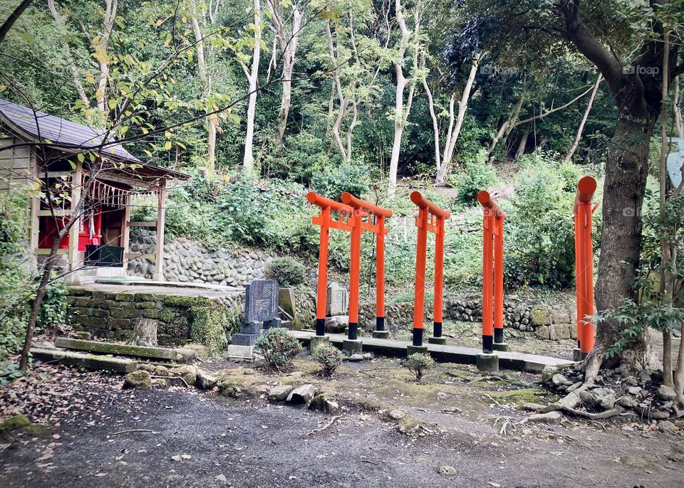 torii gate