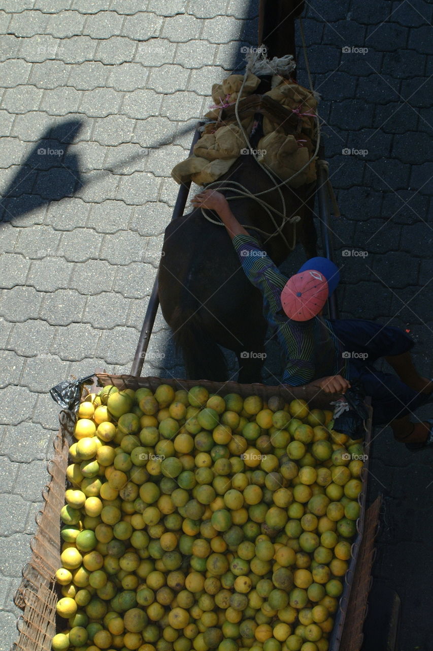 fruit delivery