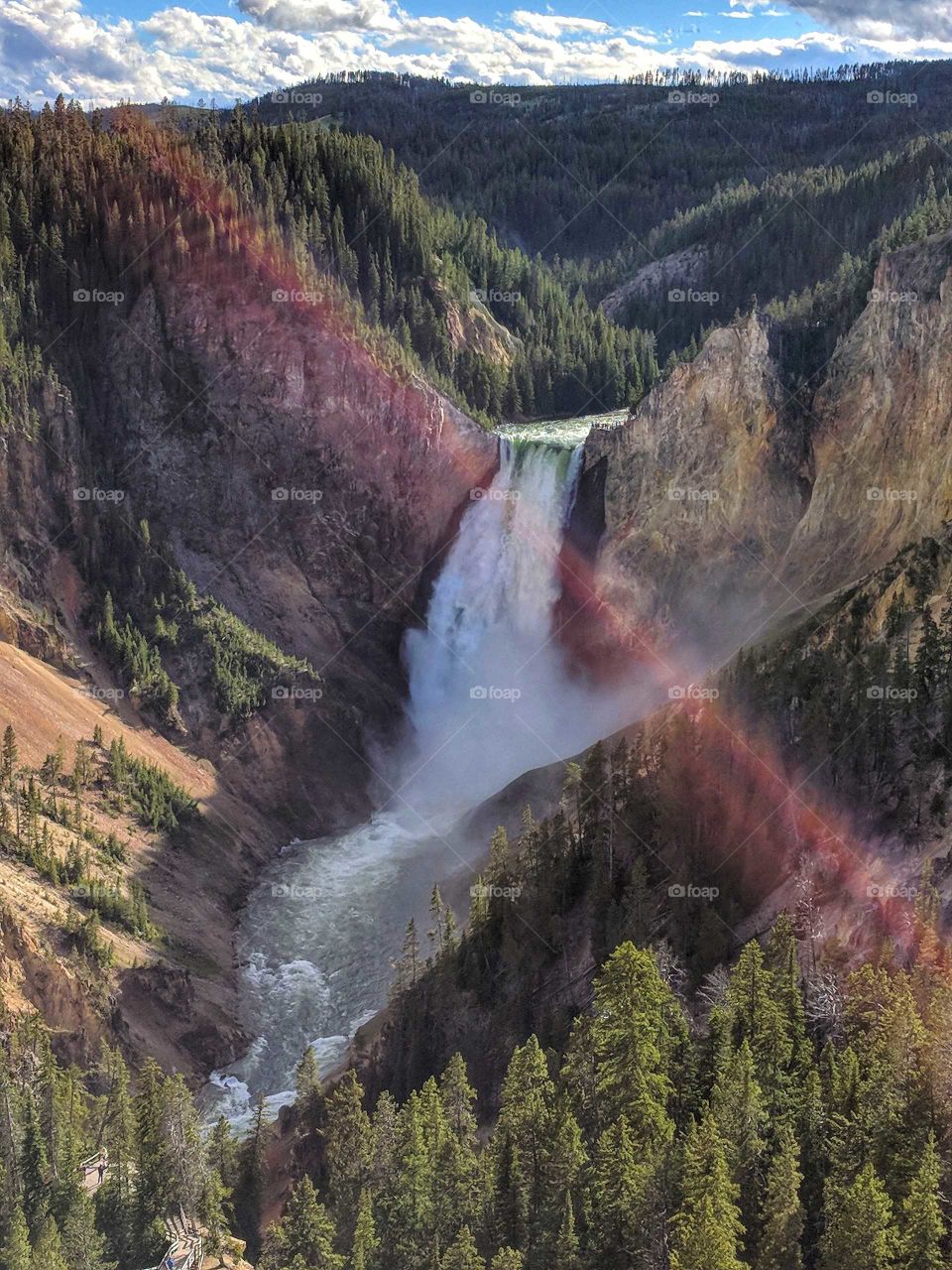 scenic view of the waterfall in the grand canyon of Yellowstone in Yellowstone National Park with a rainbow in front of it.