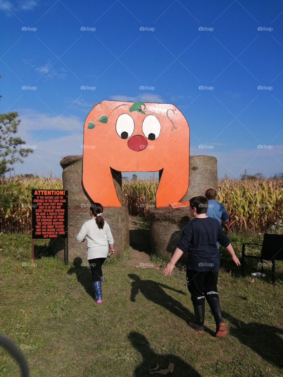 corn maze enter