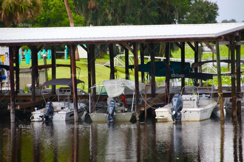 Boats in dock