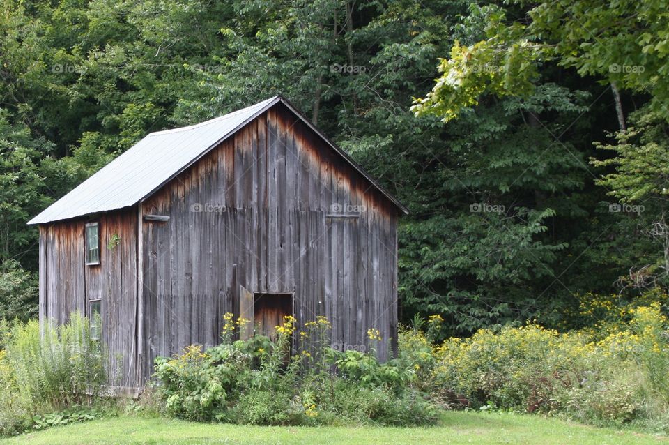 Hut on the grassland