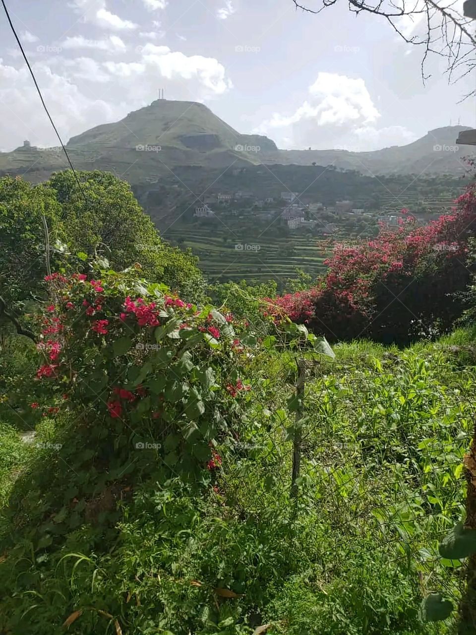 The image embodies a natural natural plate of the mountains of nature, where green agricultural stands are graded on the slopes as if they were lines of a poem, which fog harmoniously wrapped, and clouds hugged them in the mountain knife and the whis