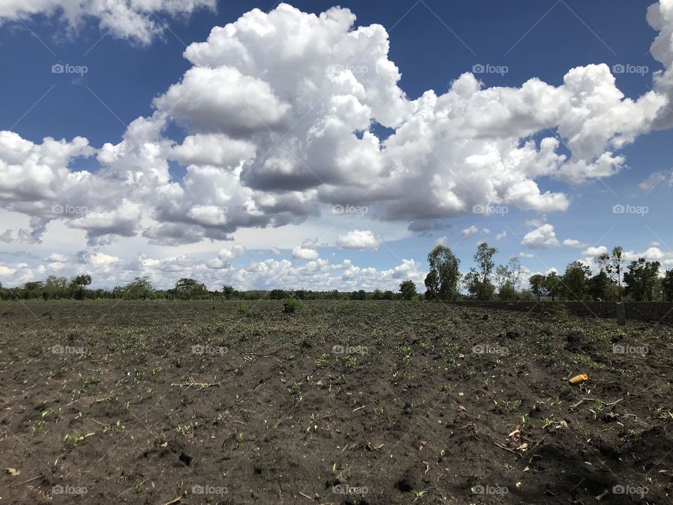 sky Cloud Field landscape environment soil plain Land Nature Plant horizon scenics - nature rural area no people Agriculture