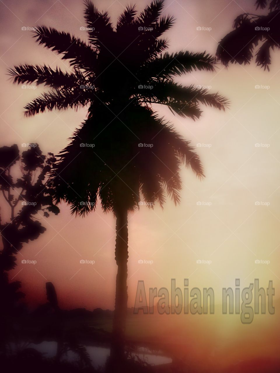 Scenery Middle Easterner
It is very nice scenery place in Arab. Middle easterner is really beautiful scenery .