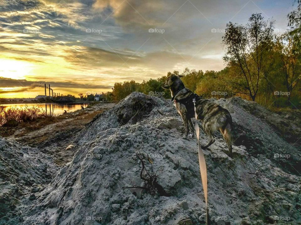 Show me the world, my great King!