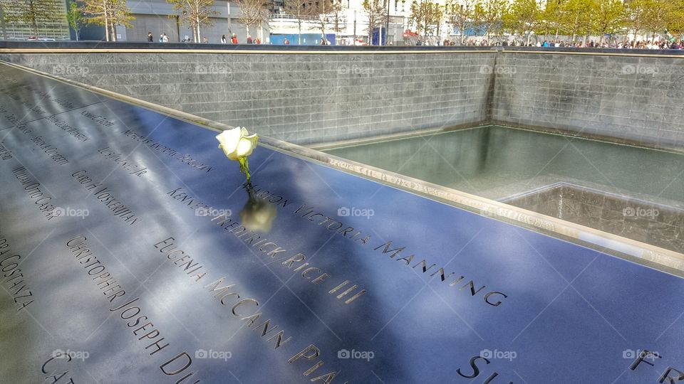 9/11 Memorial Rose